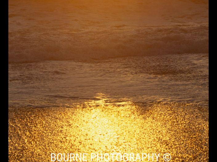 Golden waves wash upon the sand