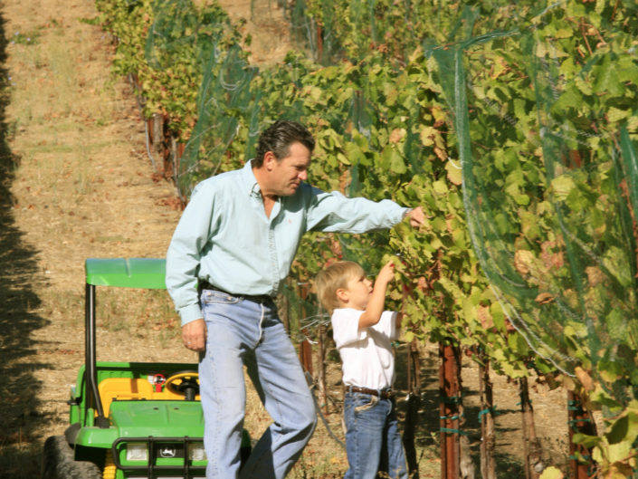 Father and Son in the vineyard
